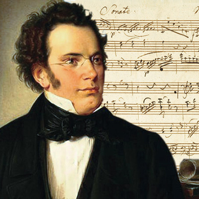 Bilderesultat for franz schubert